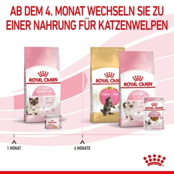 ROYAL CANIN Mother & Babycat 2 Kg – Bild 4