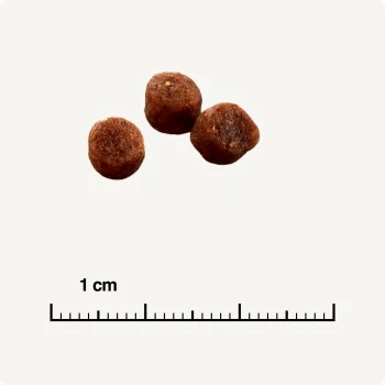 SELECT GOLD Kitten Geflügel Mit Reis 3 Kg – Bild 5