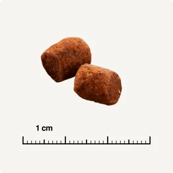 SELECT GOLD Indoor Adult Geflügel & Reis 7 Kg – Bild 5