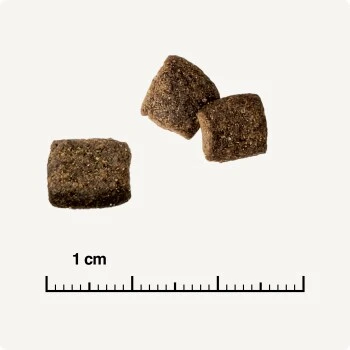 REAL NATURE WILDERNESS Adult Mixpaket Mixpaket 1, Mix-Pack – Bild 3