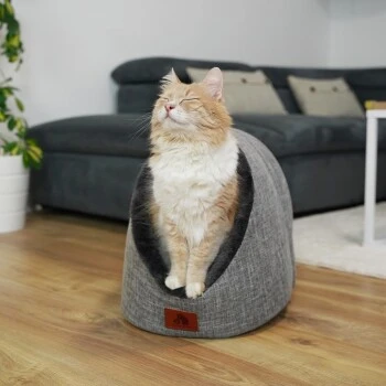 Schlitzohr Katzenhöhle Oskar Grau – Bild 9