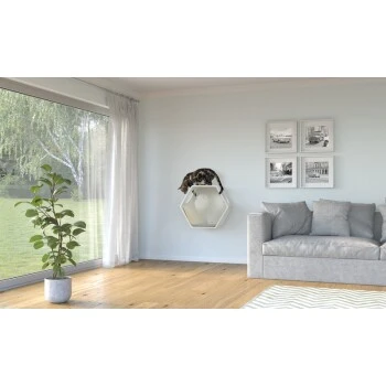 AniOne Wandhöhle – Bild 4