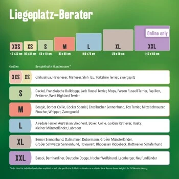 AniOne Liegeplatz Cosy Dream – Bild 3