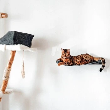 Canadian Cat Company Filz-Hängematte Für Die Wand – Bild 8